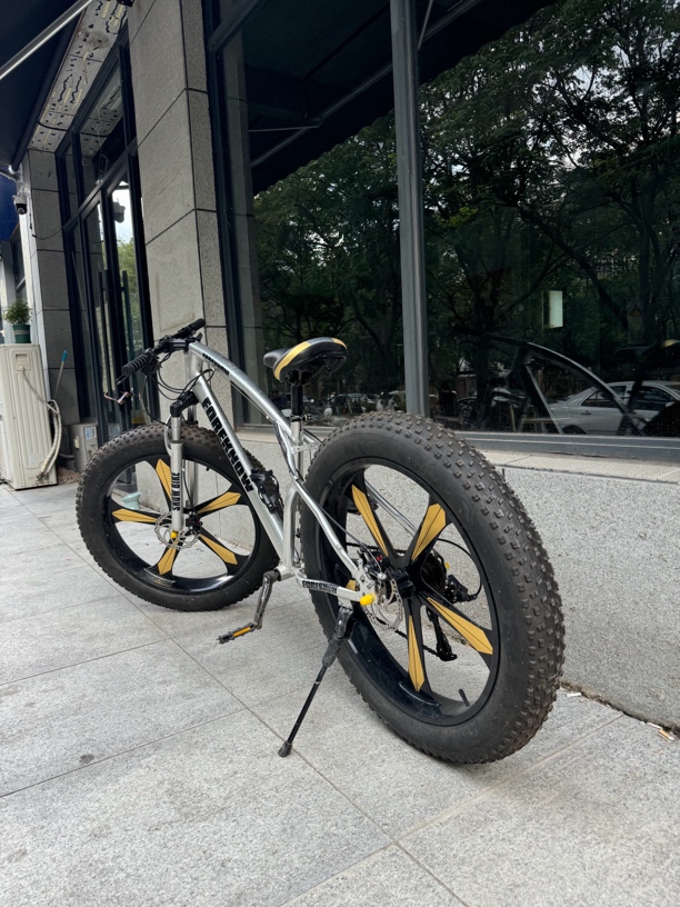 成人山地自行车越野适用沙滩雪地4.0大轮胎男女学生变速款