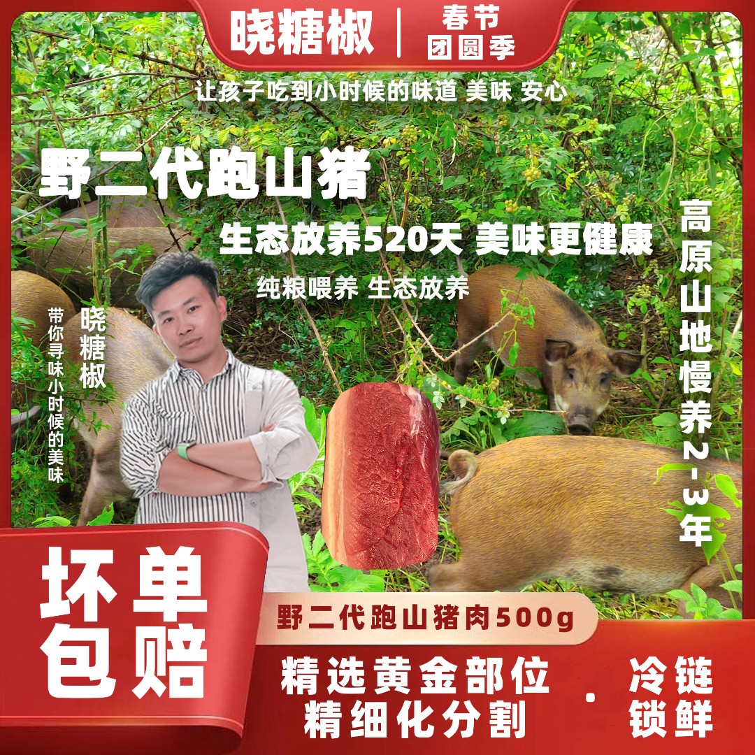 【现货】慢养约2年土黑猪部位 | 晓糖椒野二代跑山猪生态散养中秋
