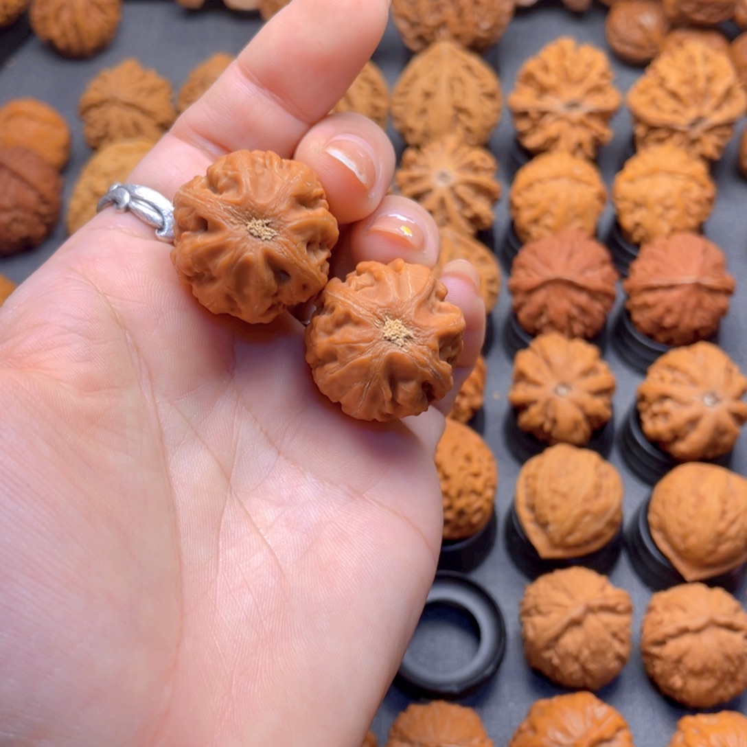 天***热核桃文玩把件粗筋小暴龙