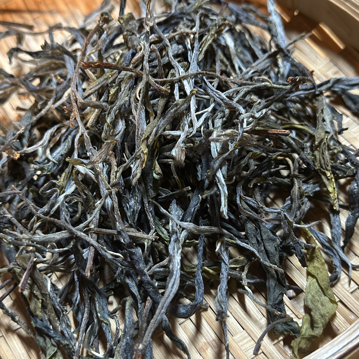 冰岛核心区细叶皇后一类800年古树单株300号100克链接