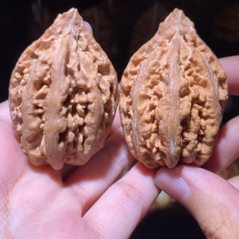 把件文玩核桃东北野生楸子小园 169