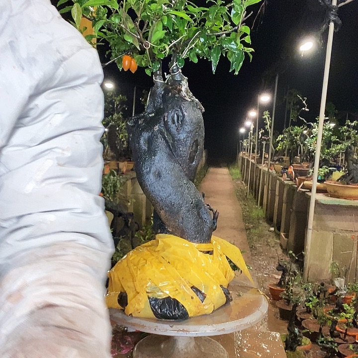 海***筑无花朵经过和家具尺寸