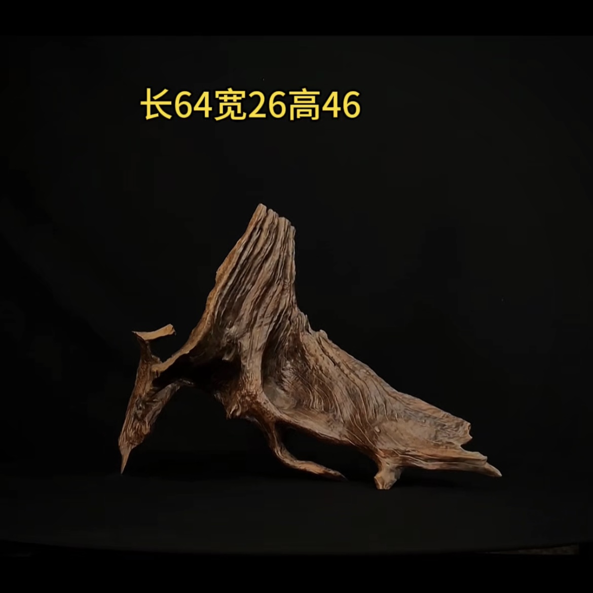 张大狼造景沉木长64cm爆裂树桩 南美鱼缸造景 紫柚木秒沉