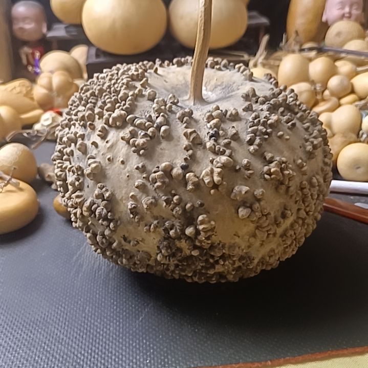 得*哥全品无瑕厚皮苹果葫