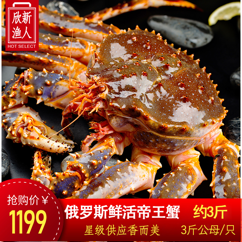 【3斤活帝王蟹】特大帝王蟹鲜活海鲜活大龙虾新鲜珍宝皇帝蟹水产