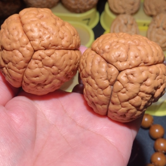 文玩核桃把件脑纹金刚菩提