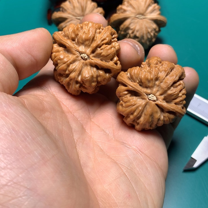把件文玩核桃核**奶粗筋