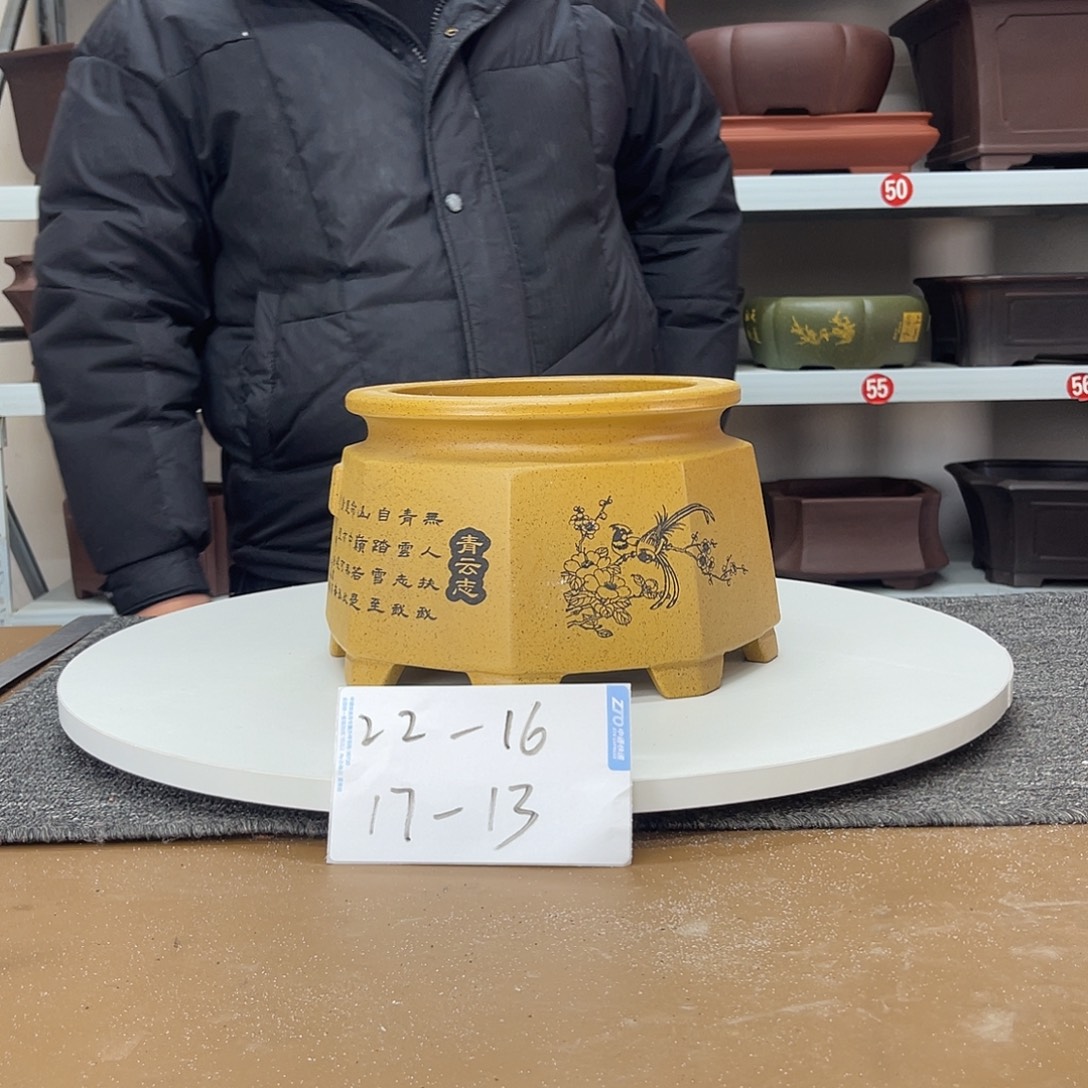 花盆紫砂在上世纪