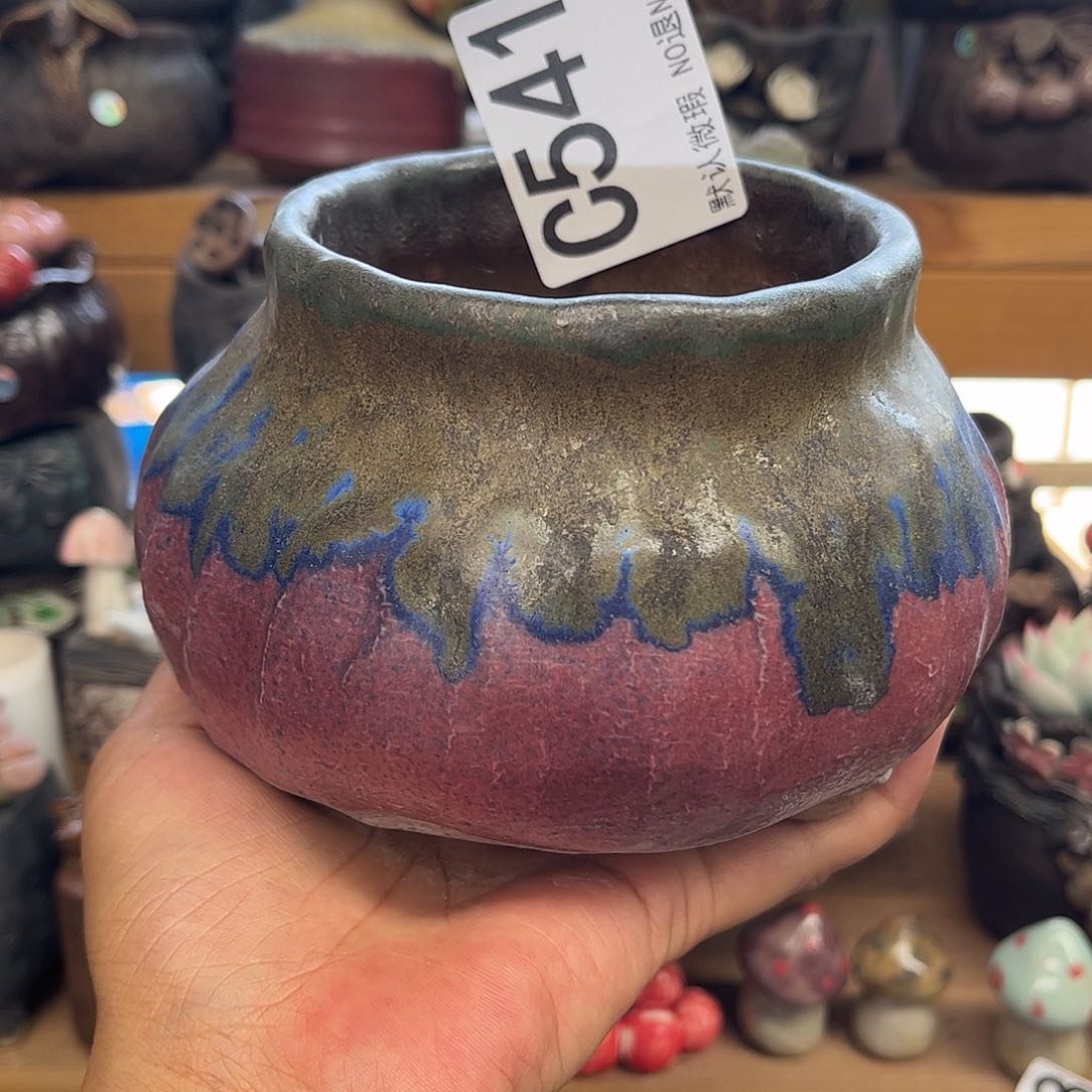 要不要这样对我这么541