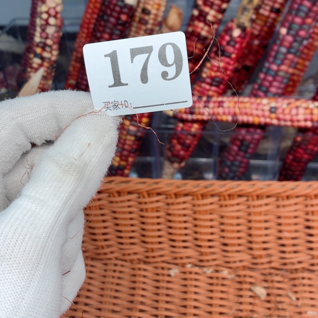 是***`吊坠白玉菩提文玩精品文玩精品