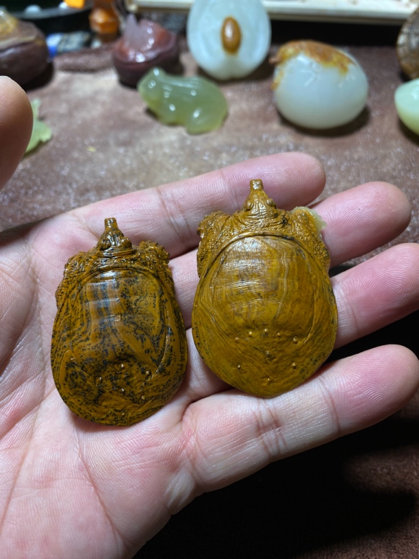 定制甲鱼龟类付米链接