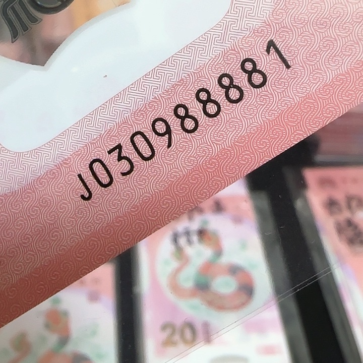 塑料蛇钞狮子号030988881