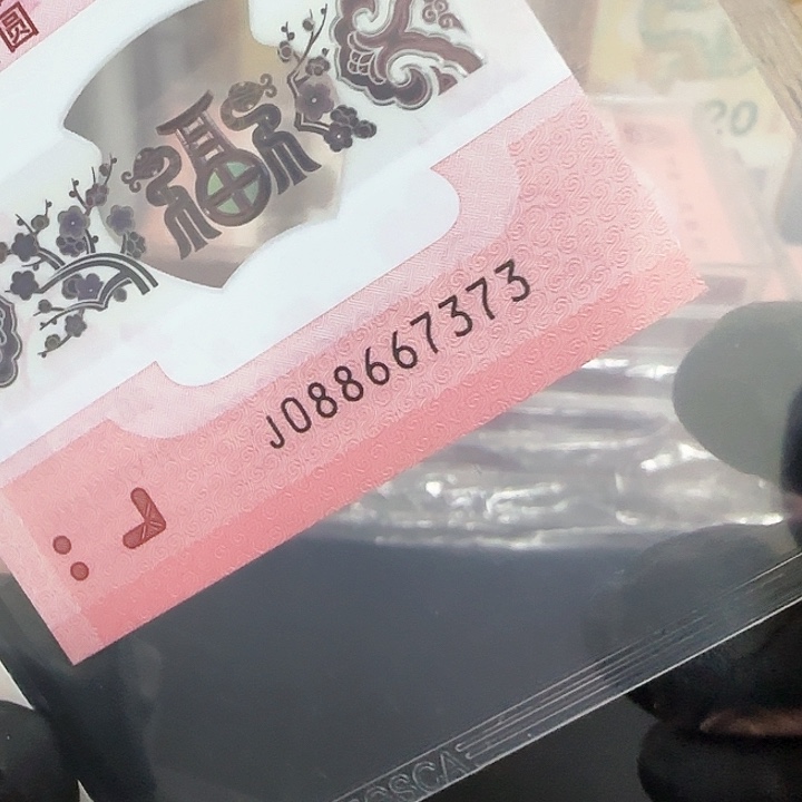 塑料蛇钞中国梦088667373