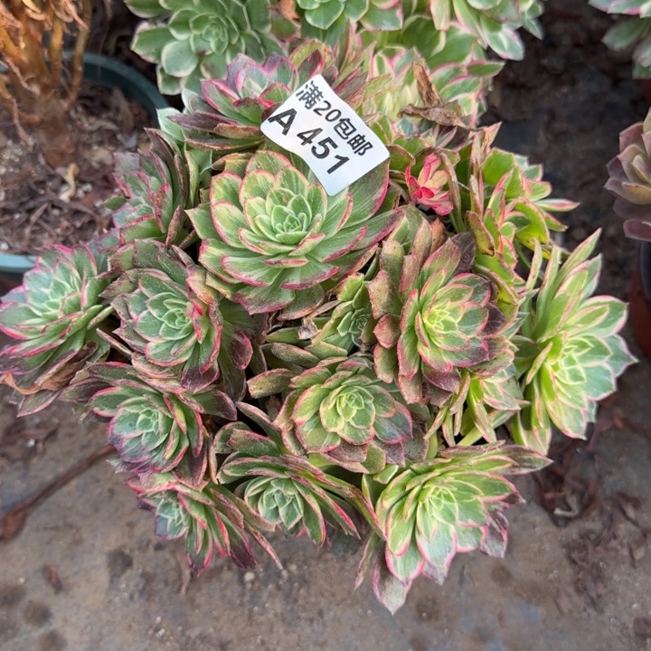 满20包邮，451万花筒