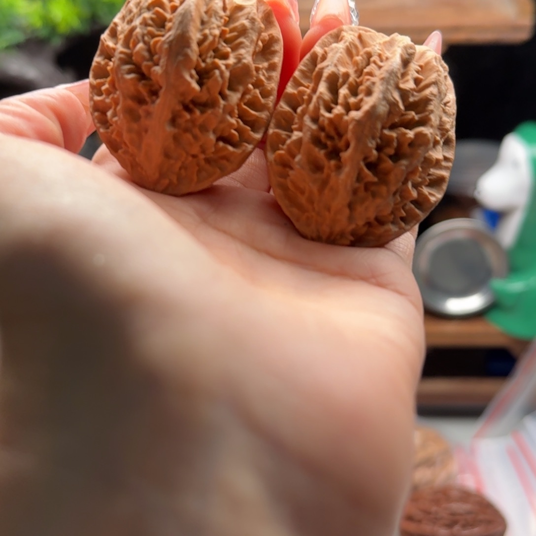 文玩核桃把件关东木子楸百核111