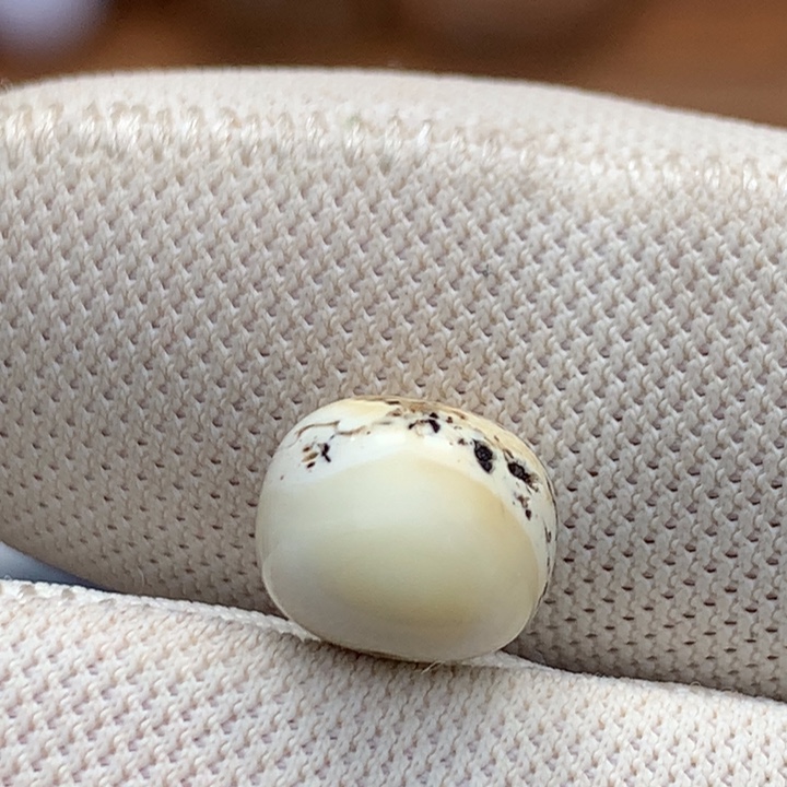 琉璃/树脂/塑料类