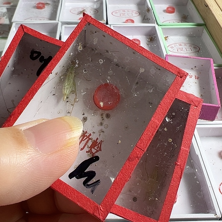 3只残竹蛉开叫了好