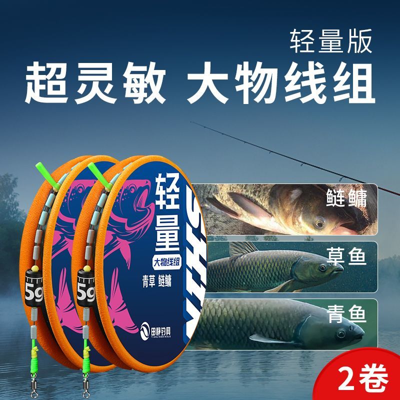 轻量大物线组主线套装适合钓鲢鳙草鱼青鱼加固防缠绕鱼线组两卷装
