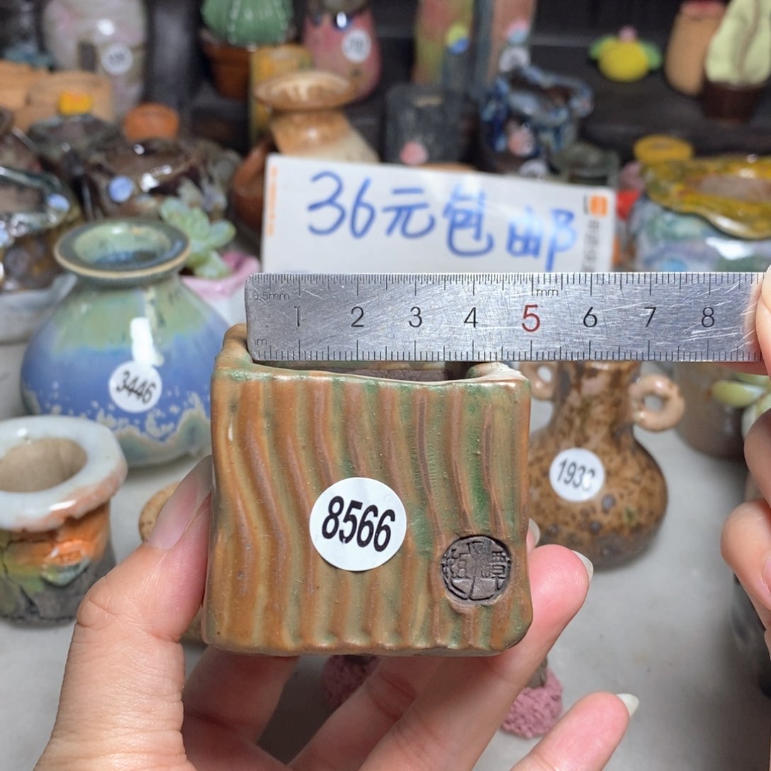 特价福利款，不退不换的