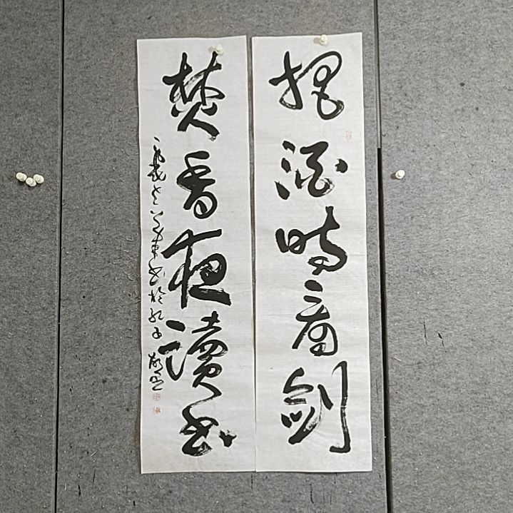 书法四尺对开。焚香夜读书