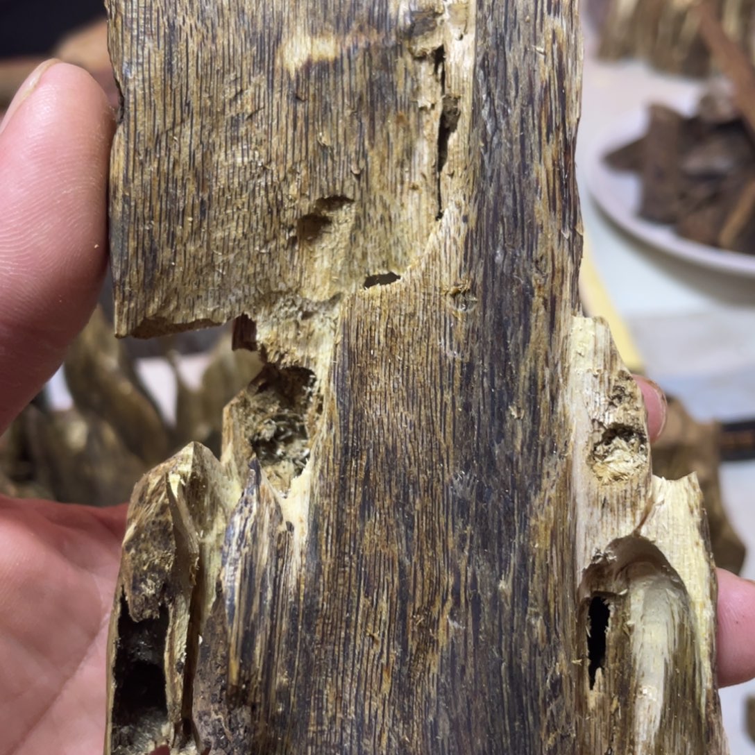 奇楠沉香虫漏摆件