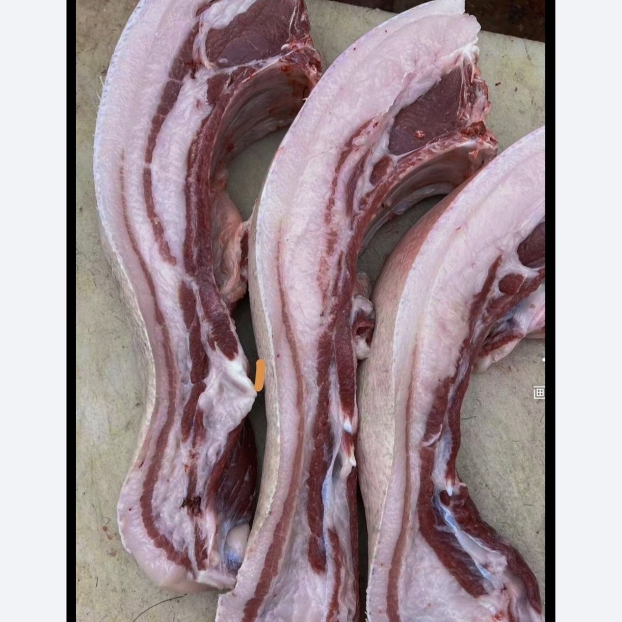 大别山区黑毛土猪肉，新鲜带骨肋条5斤