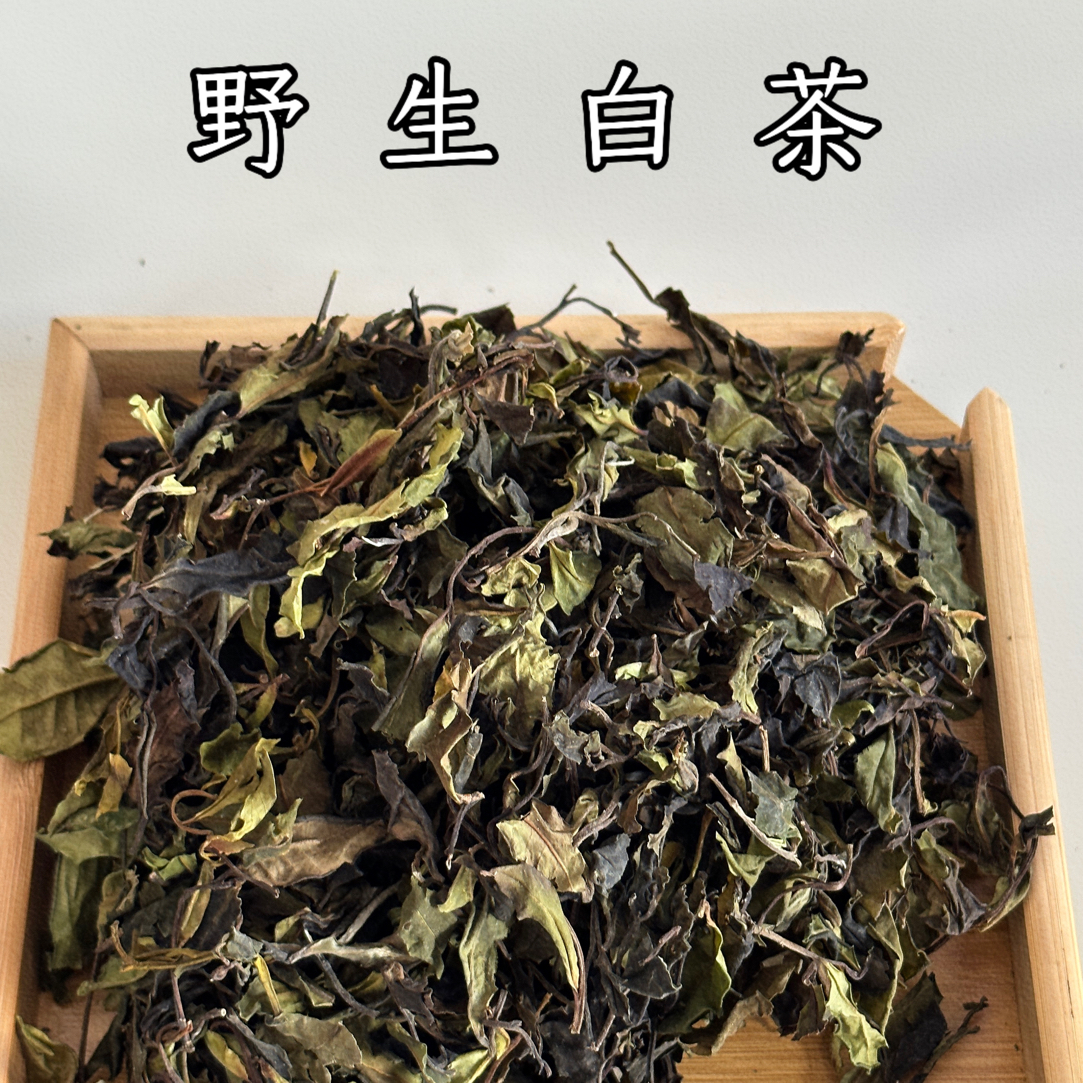 雪山村野生白茶2025年（250g）
