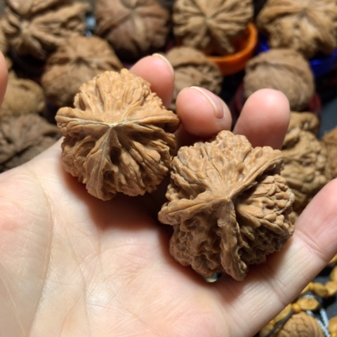 核桃*️**三棱单只两个