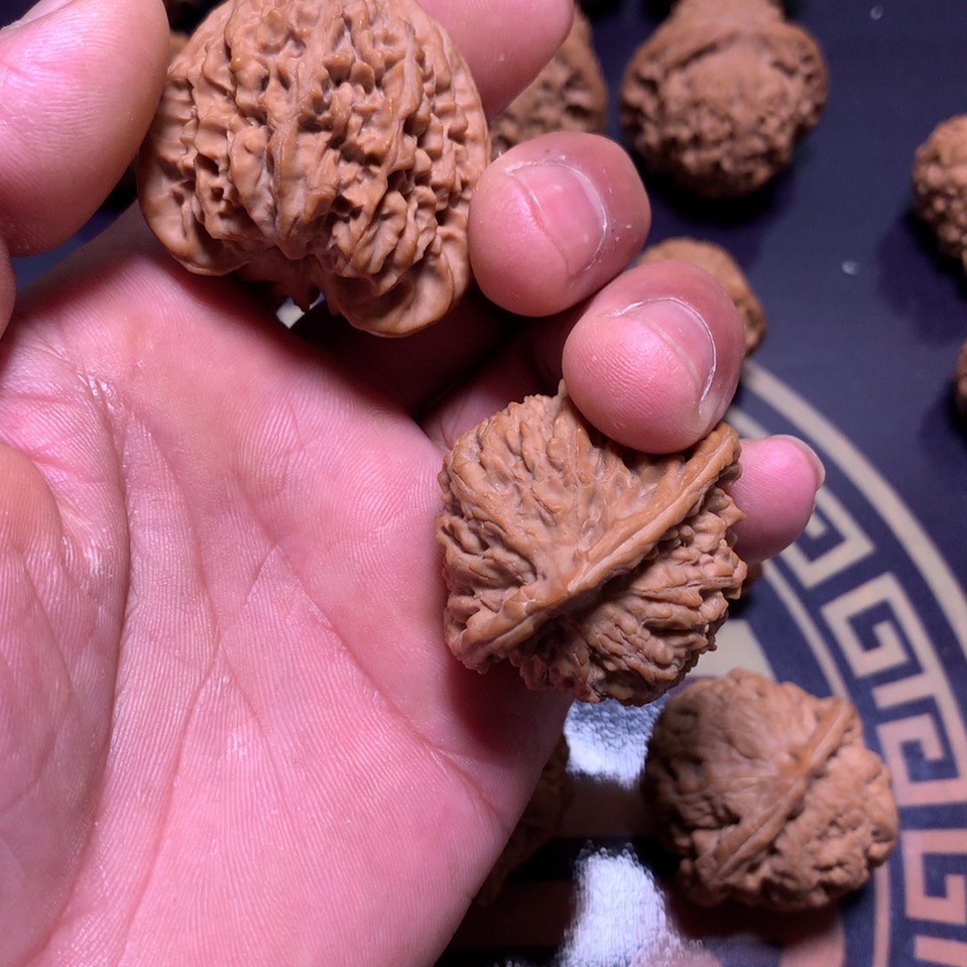 鸭***角文玩核桃把件珊瑚纹41