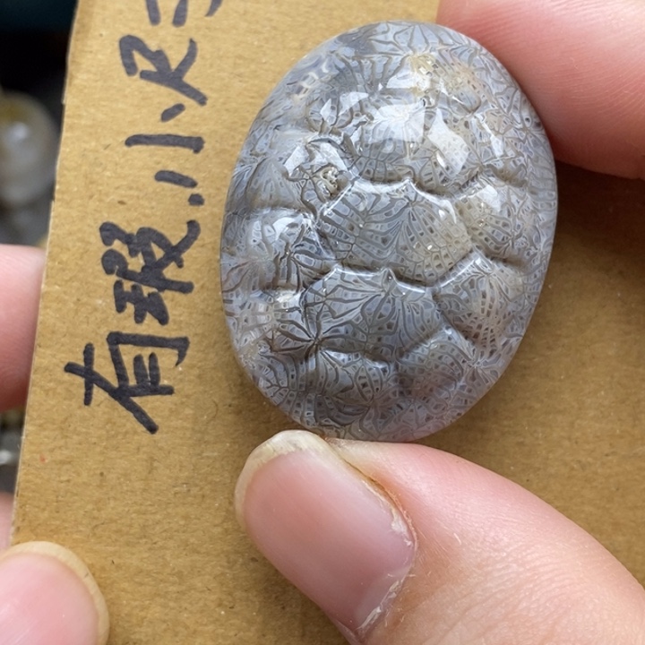 硅化珊瑚（珊瑚玉）未镶嵌颈饰