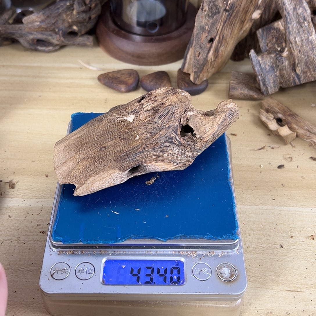 香料绿棋楠虫漏43克乌身