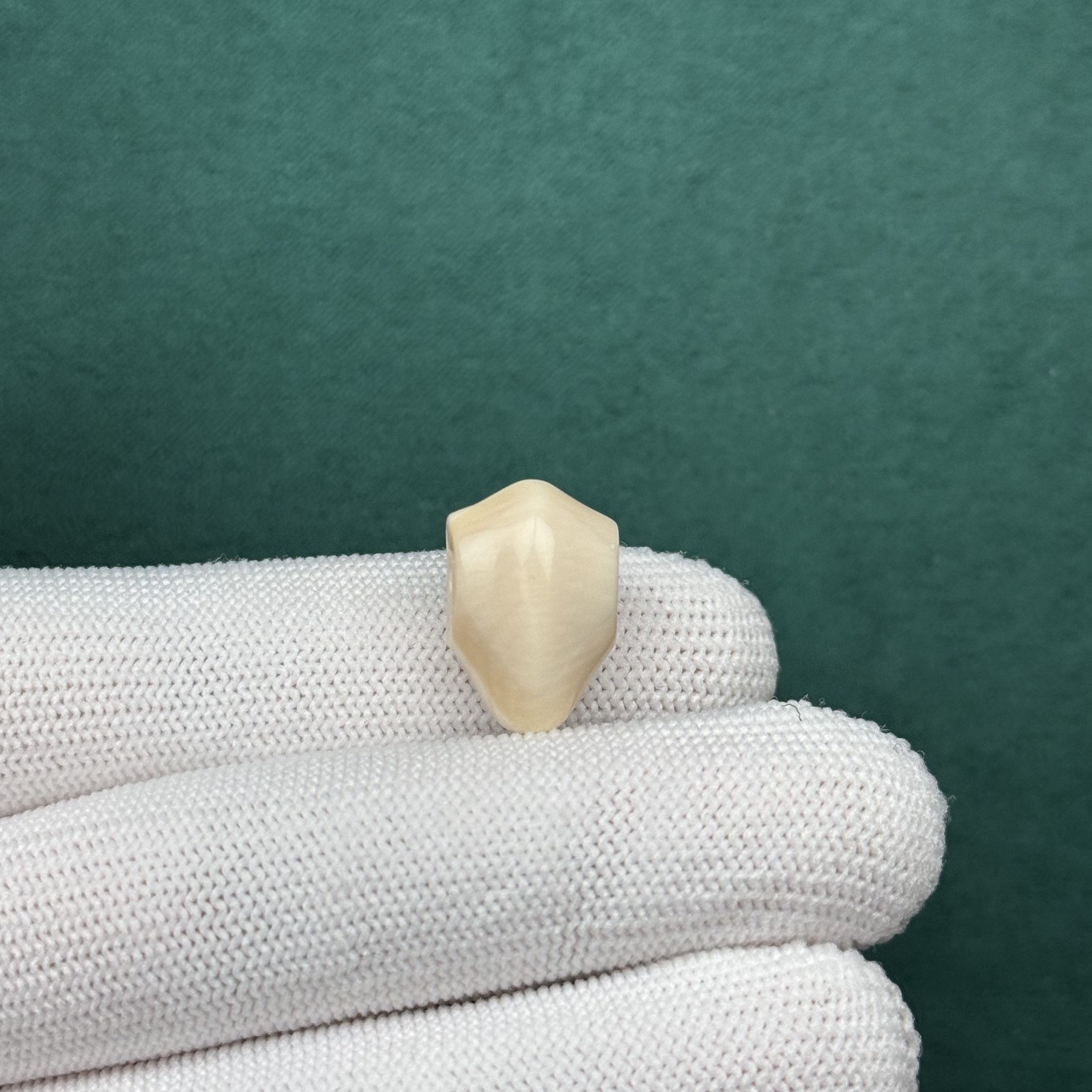 D73-45天然猛犸牙 鲨鱼背三通 12*18mm一物一图假一罚十