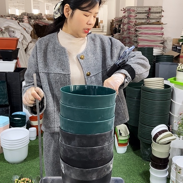 鸡蛋口19高16双色带托6只