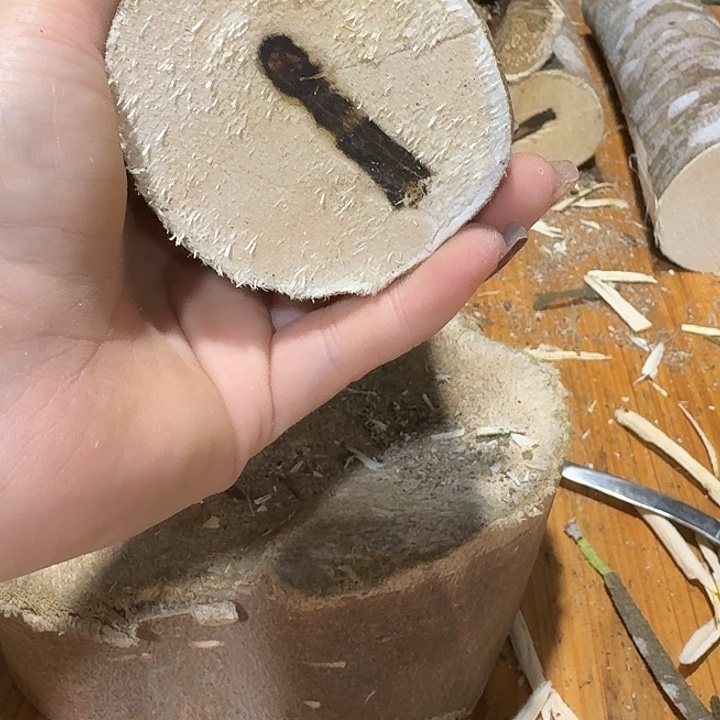 无花朵张勺子品种