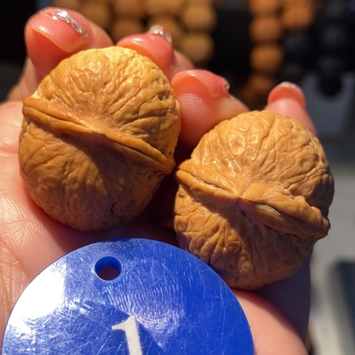 2号链接七彩龙珠31尺寸