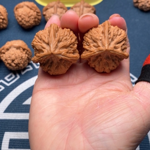 橄榄核手串/手链文山38