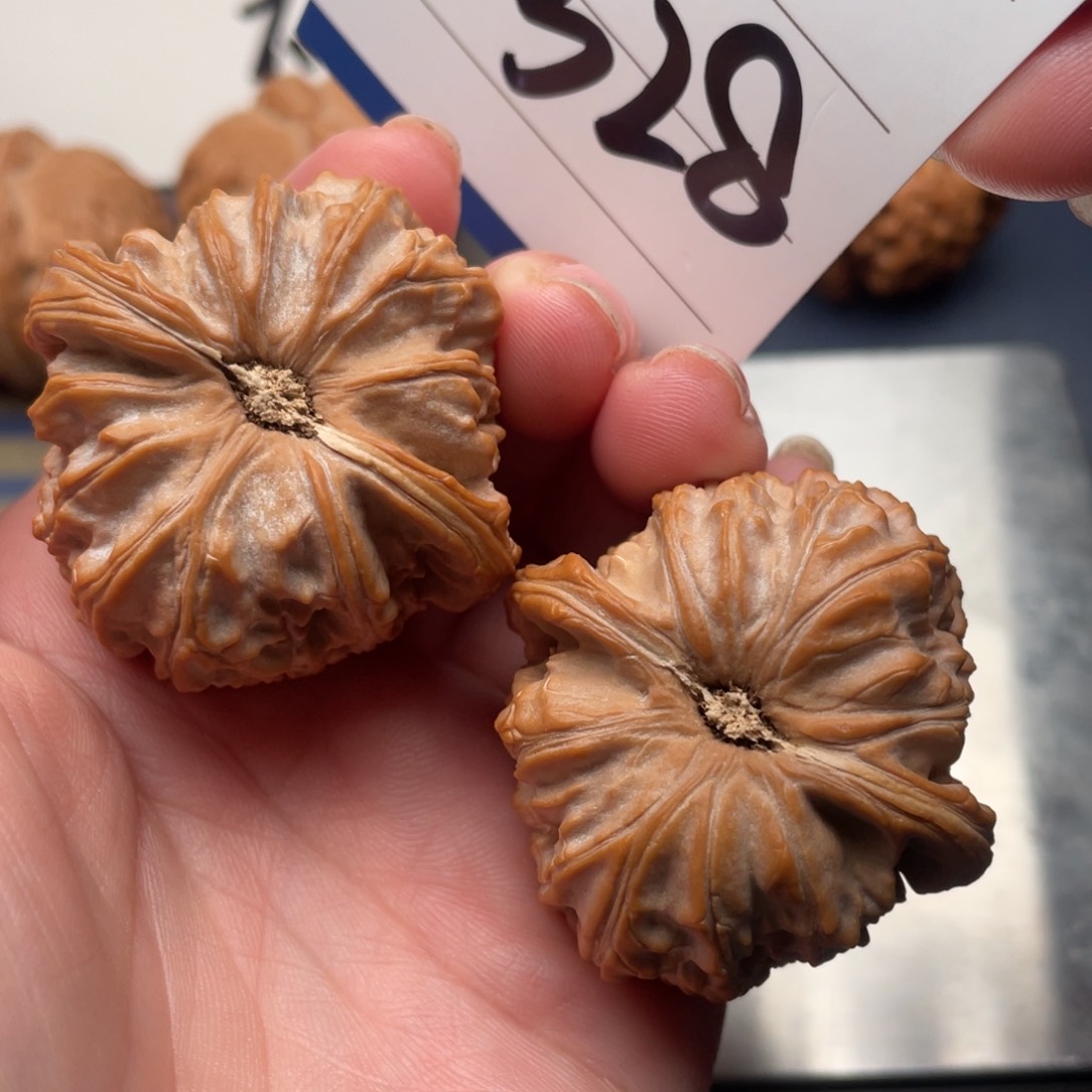 文玩核桃把件勿*白狮子41