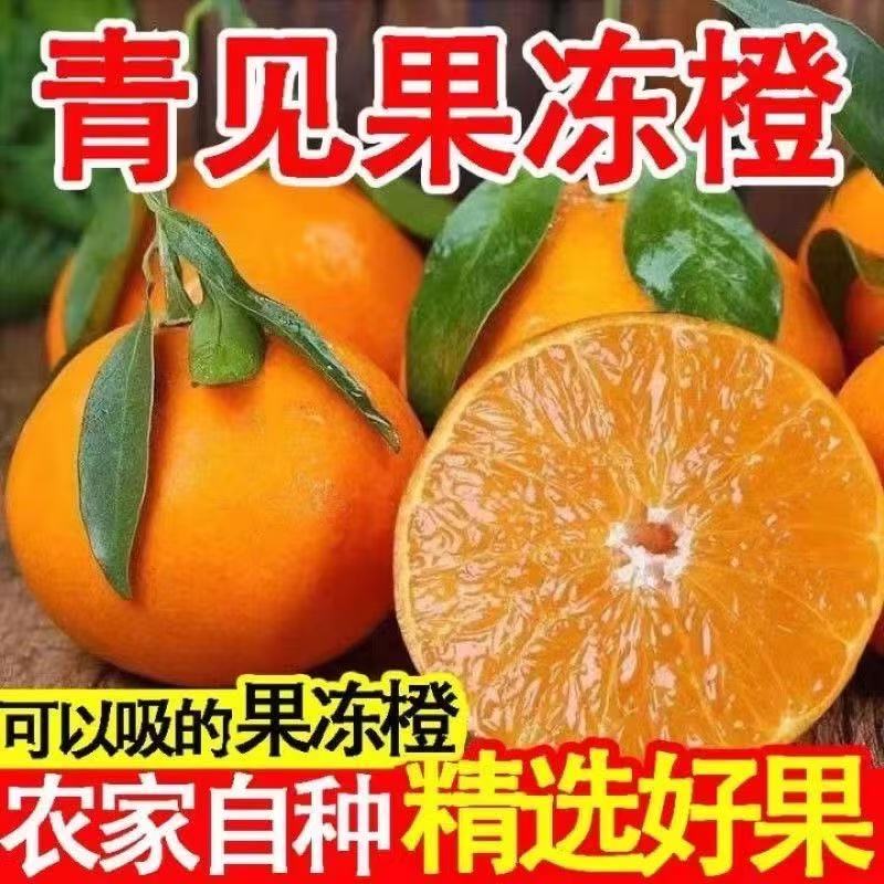 四川青见果冻橙带箱5/9斤新鲜水果当季坏果包赔60-90mm