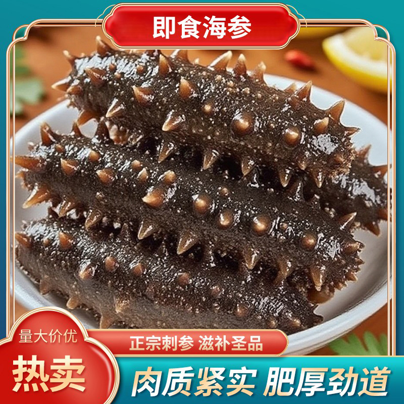 即食海参软糯Q弹鲜食口感大连正宗辽参刺身 鲜食非干参