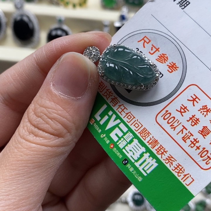 翡翠未镶嵌颈饰翡翠