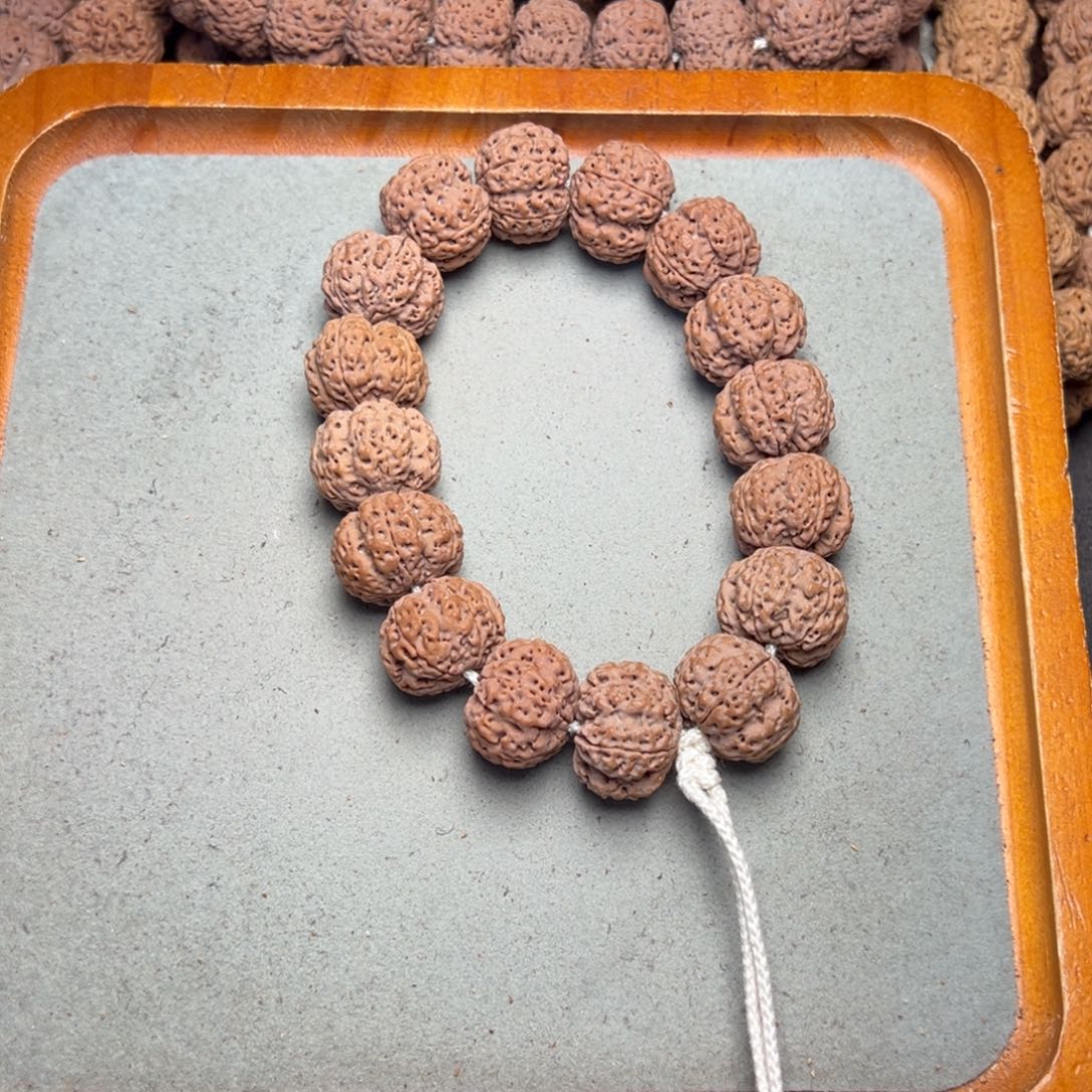 菩提27号金刚菩提满肉双龙22