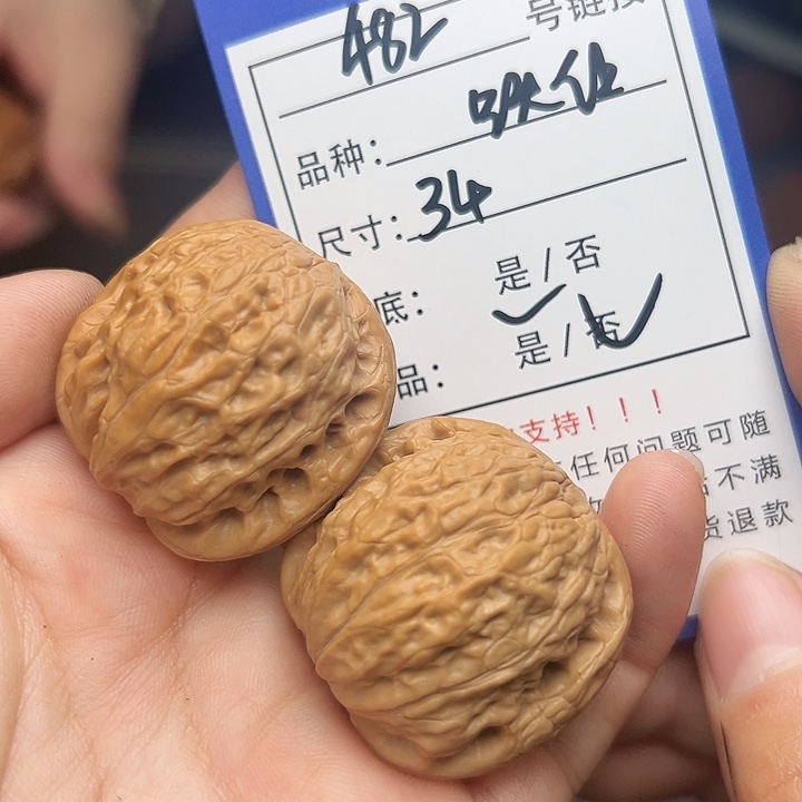 文玩核桃吊坠核桃树482
