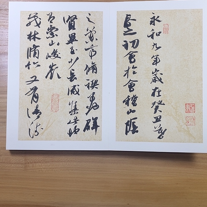 书法中书协会员作品