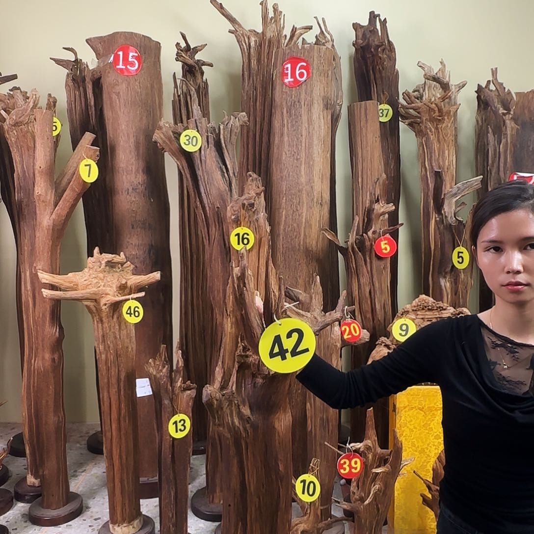 沉香沉香碎屑棠天然沉香原材料香料熏料