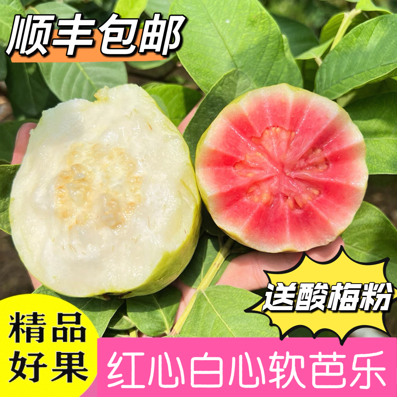 【顺丰包邮】红心白心软芭乐奶油软心红白双拼芭乐番石榴鸡屎果大果
