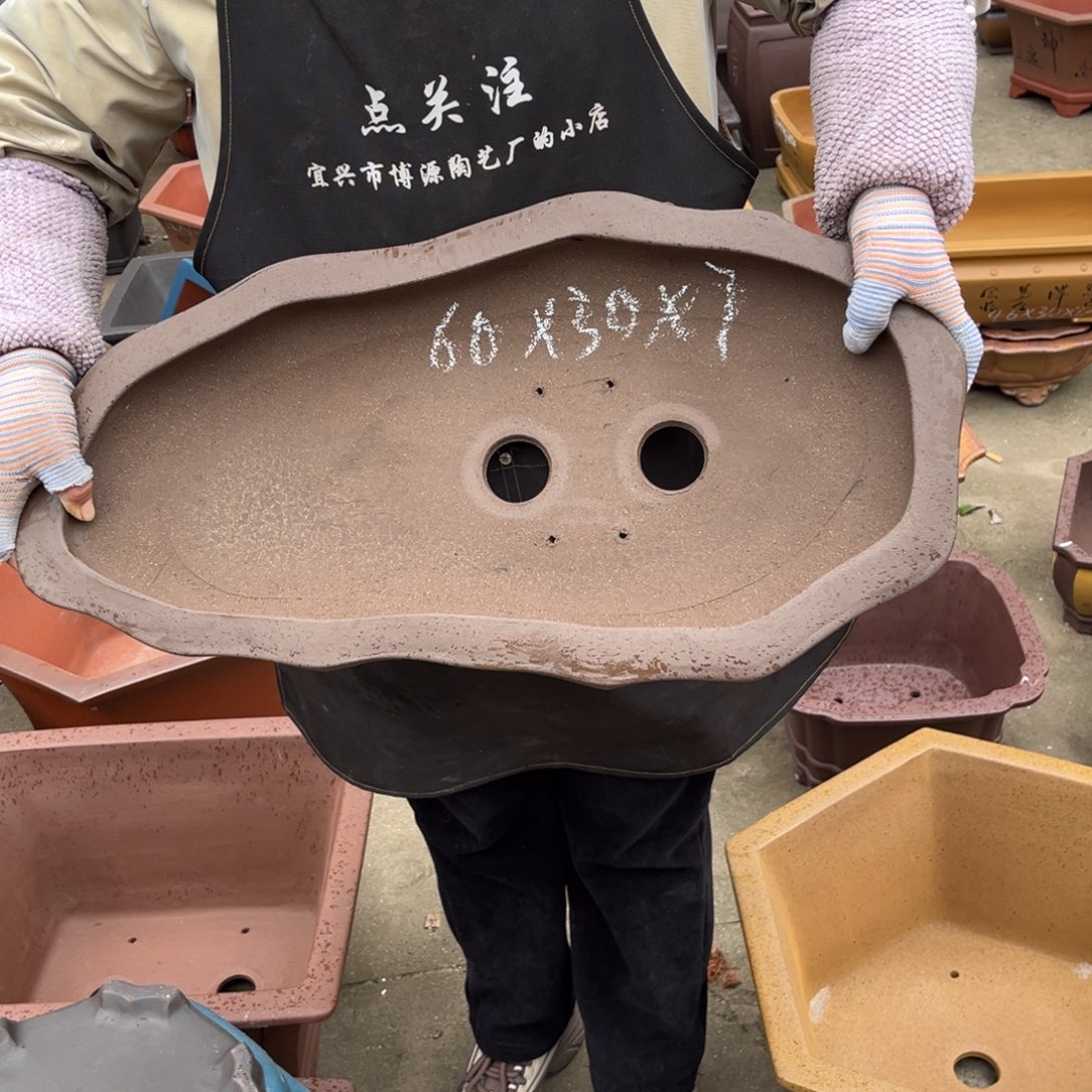 紫砂花盆盆景艺术