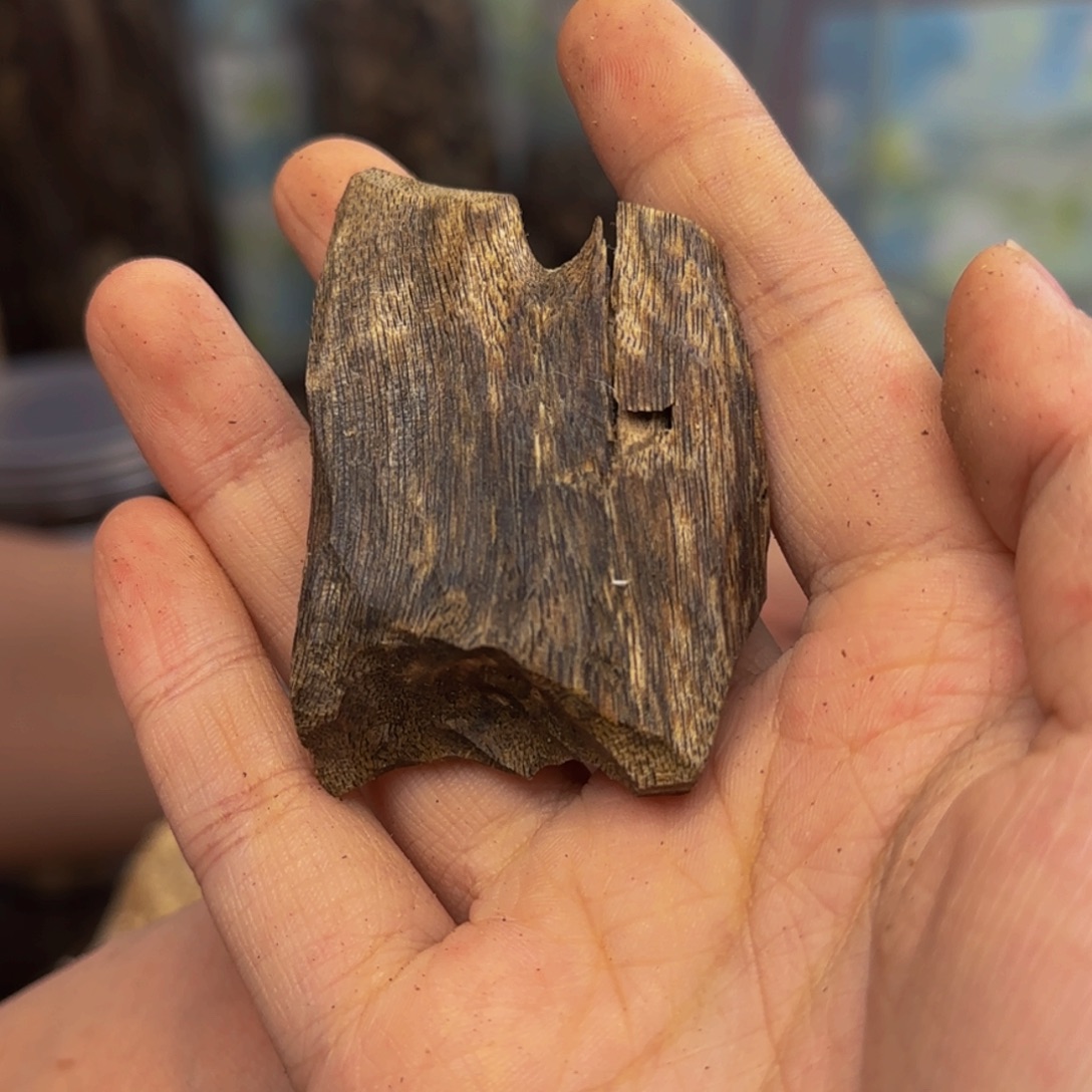 沉香碎屑沉香7克66