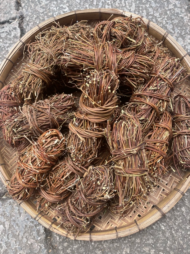 农产品 鸡骨草 精选干货