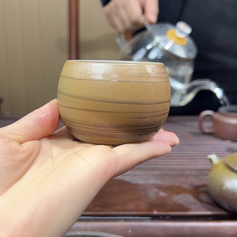 戬谷龙窑坭兴陶柴烧893