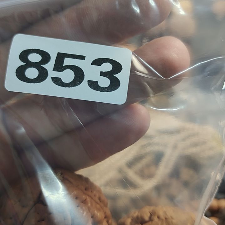 文玩核桃吊坠我****乐文玩核桃